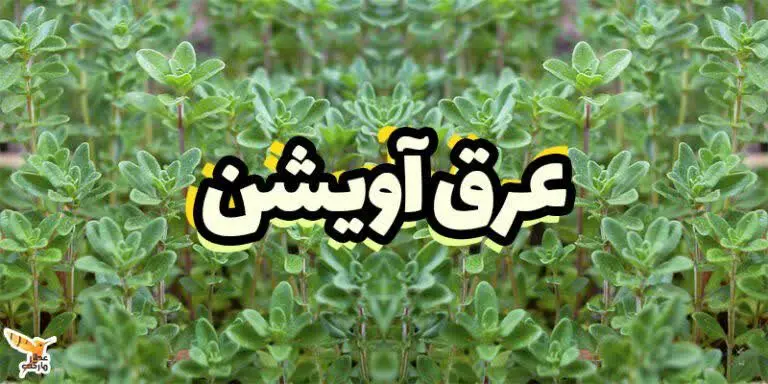 #عرق آویشن