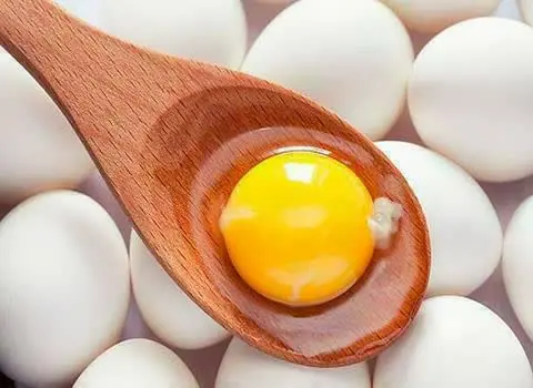 عرضه تخم مرغ معمولی