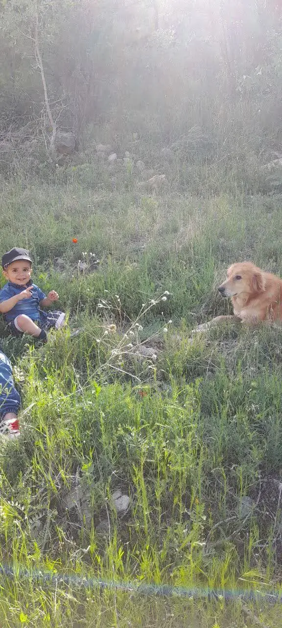 نام شرکت کننده: سید محمد سبحان موسوی