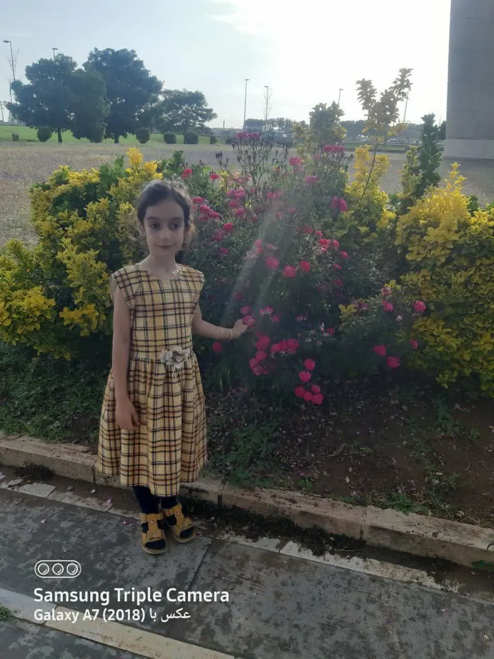 😍نام شرکت کننده: نیایش سادات میرنورالهی