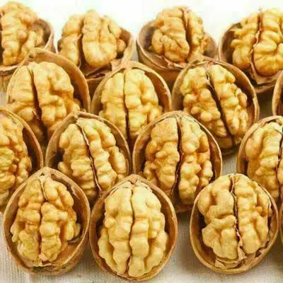 گردو ایرانی کاغذی